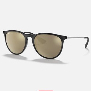 Ray-Ban Erika Sunglasses